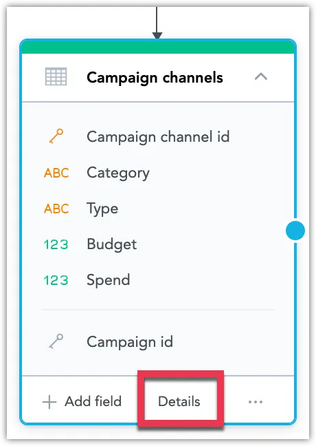 Dataset titled Campaign channels with the Details button highlighted at the bottom right.
